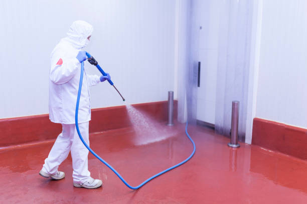 Spring Cleaning in Richland, GA